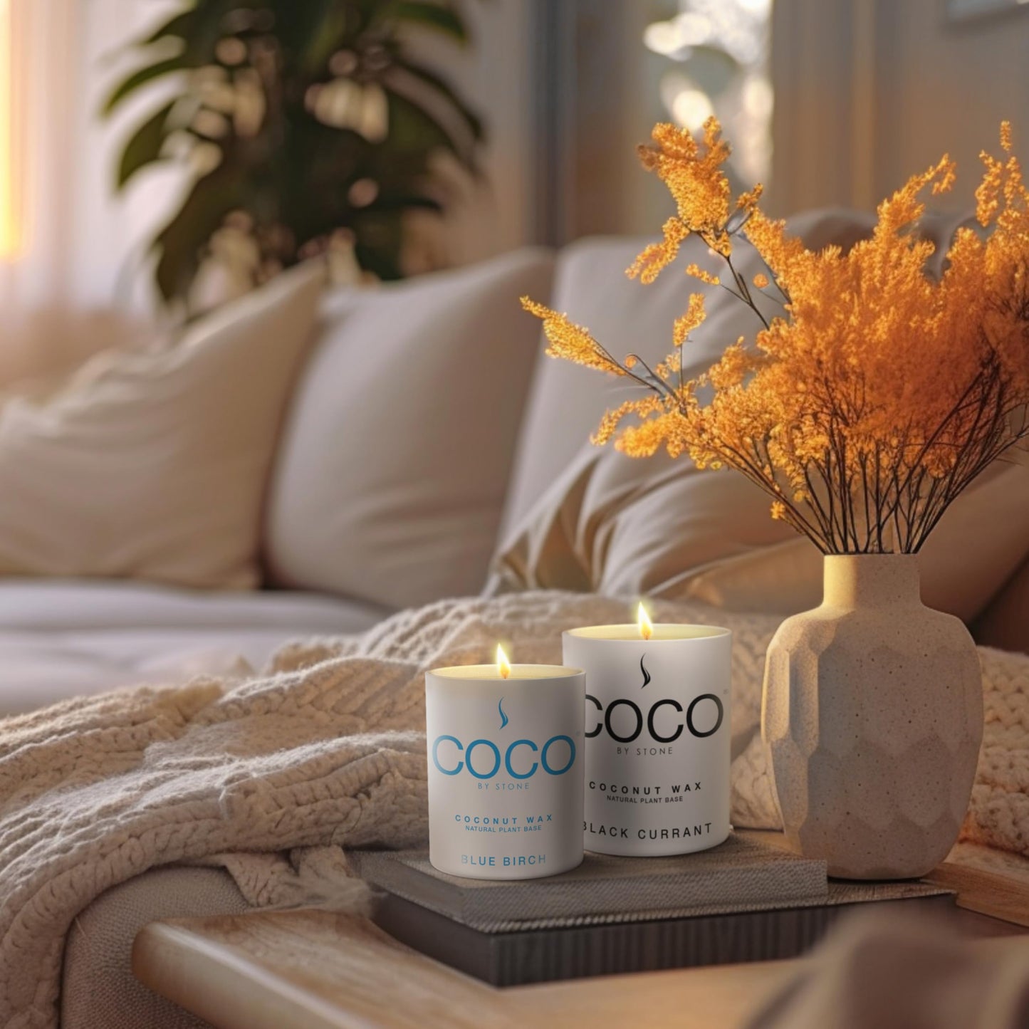 COCO by Stone 6.5oz Candle, Coconut Apricot Wax Candle for Home (Stone Fruit) Home Fragrance Products, 1 Wick, Enhance Indoor Aroma, Vegan & Cruelty-Free, Clean Burning and Hand Poured