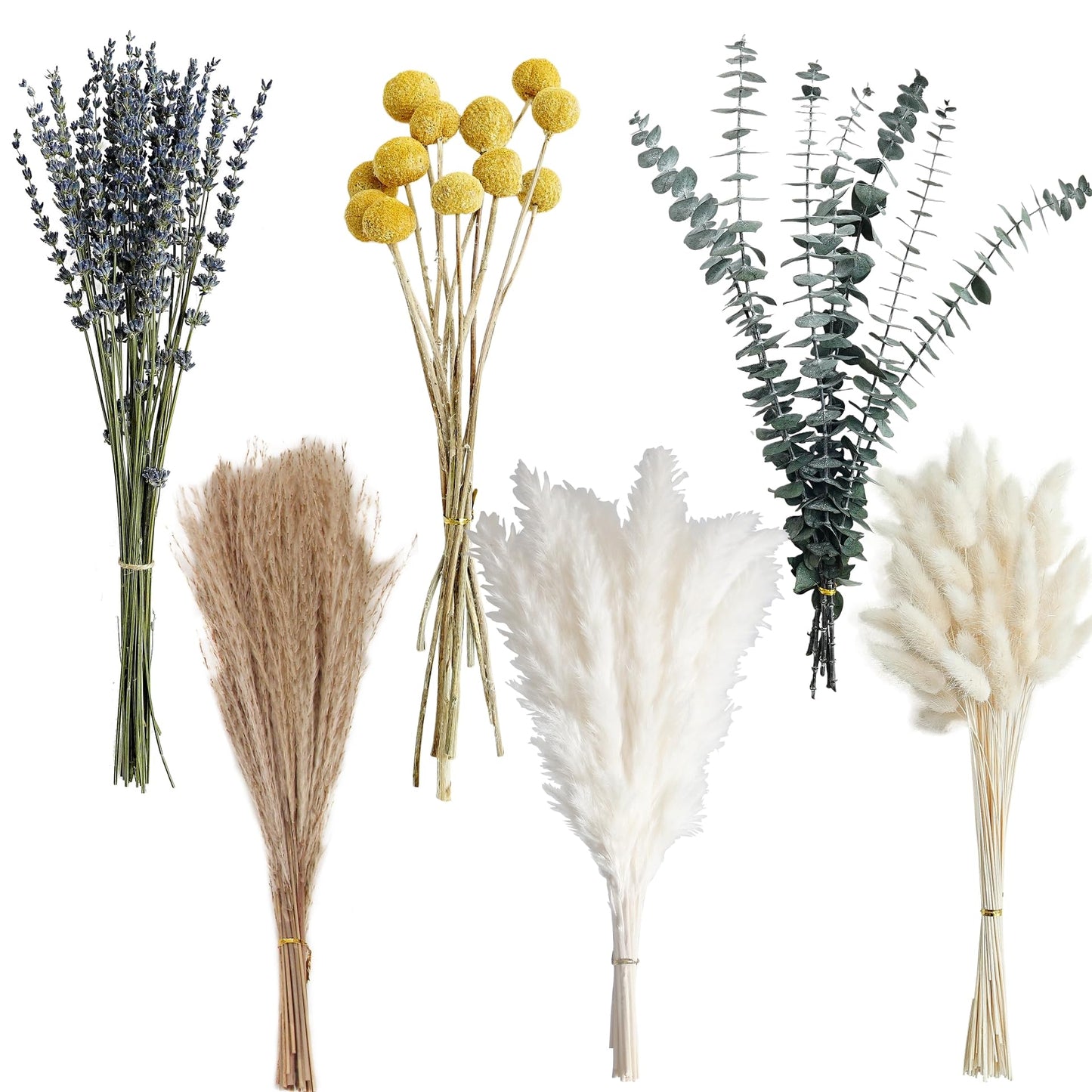 Dried Pampas Grass Bouquet – Boho Pampas Grass Decor for Home, Vase Fillers & Wedding — Natural Dried Flowers, Tall Pampas Grass for Floor Vase, Coastal, Scandinavian & Boho Room Decor (No Vase)