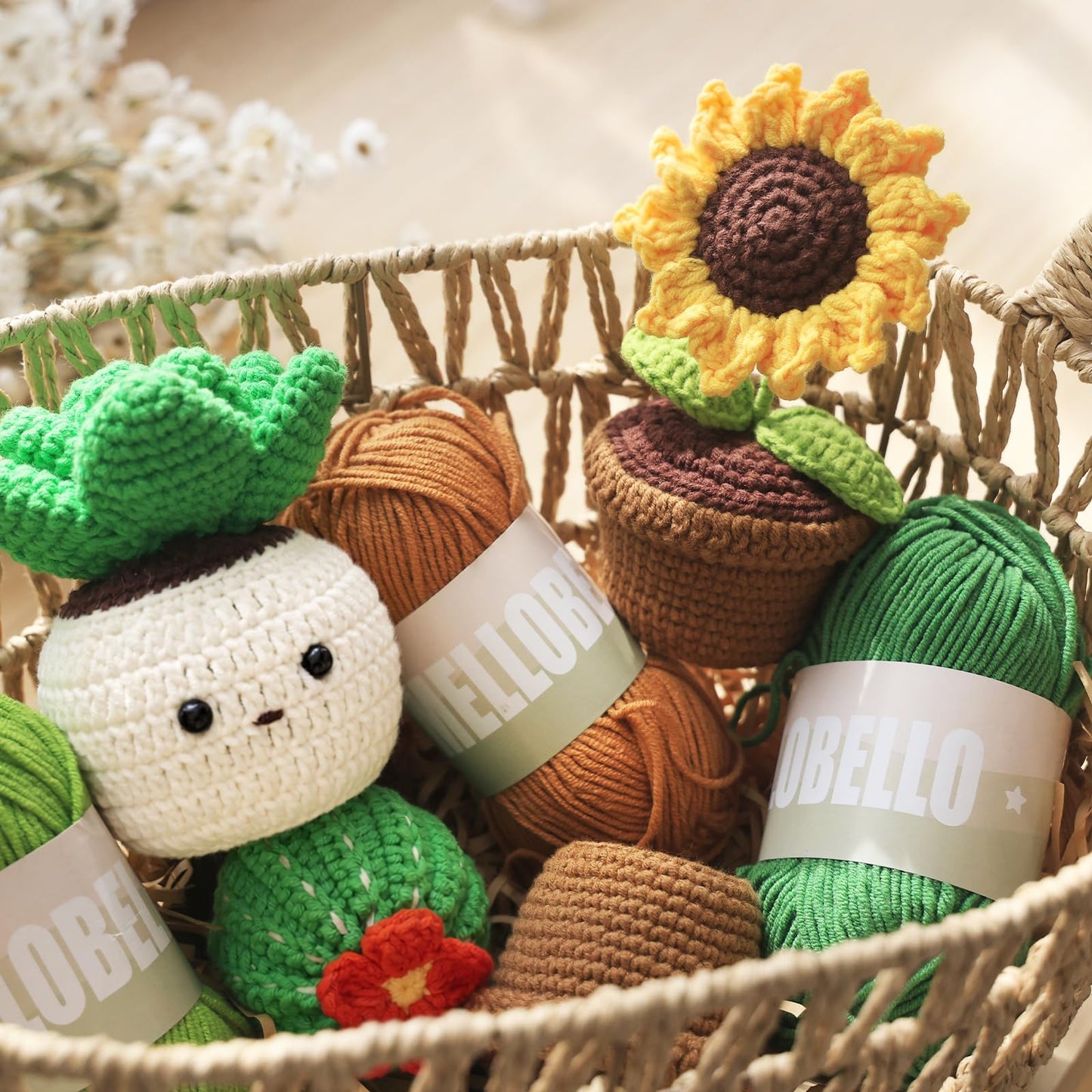 Crochet Kits for Adults - Beginner Crochet Kit for Adults with Video Tutorials - Crochet Plant Kit Flower Succulent Cactus - Easy to Learn Starter Amigurumi Knitting Crafts Hobbies Gifts for Women