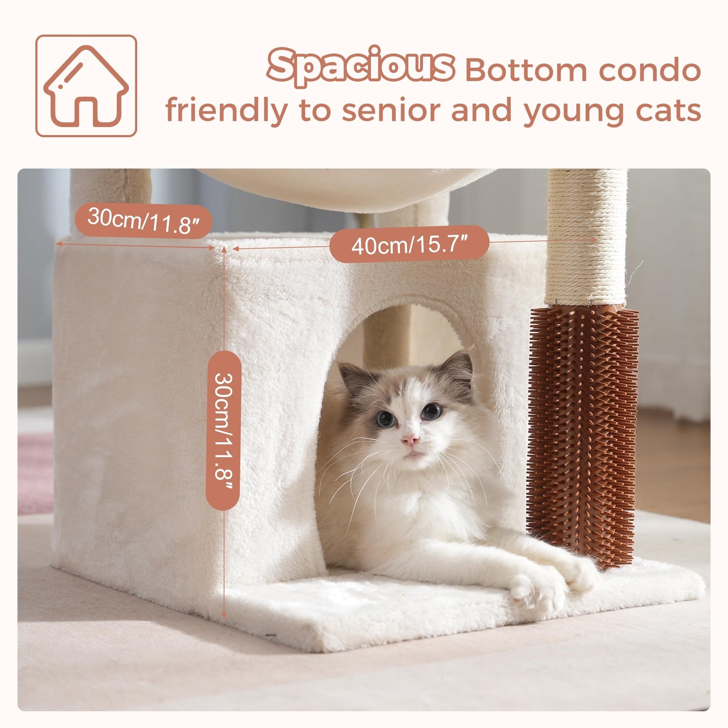 Pawfessor Cat Tree 32 Inches Small Cat Tree for Large Cats Adult Cat Tower with Scratching Post,15.7”Large Hammock and Self Groomer, and Removable Top Perch and Wide Condo for Indoor Cats-Beige