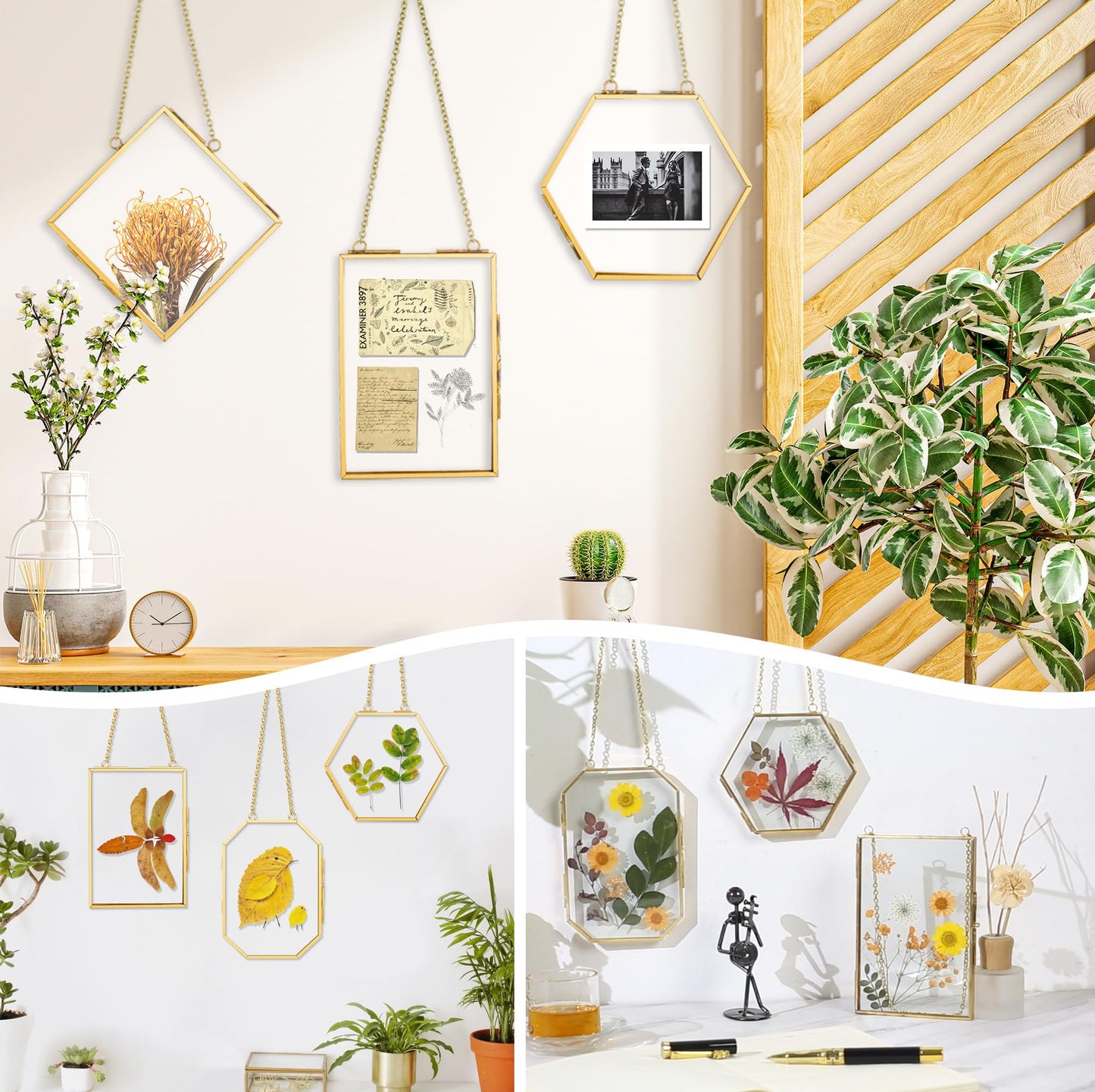 BABUFINE Pressed Flower Frames with Tweezers, Wall Hanging Double Glass Picture Frames with Chain for Dried Flowers Plants Wall Decor,Only Frame (Gold-3PCS)