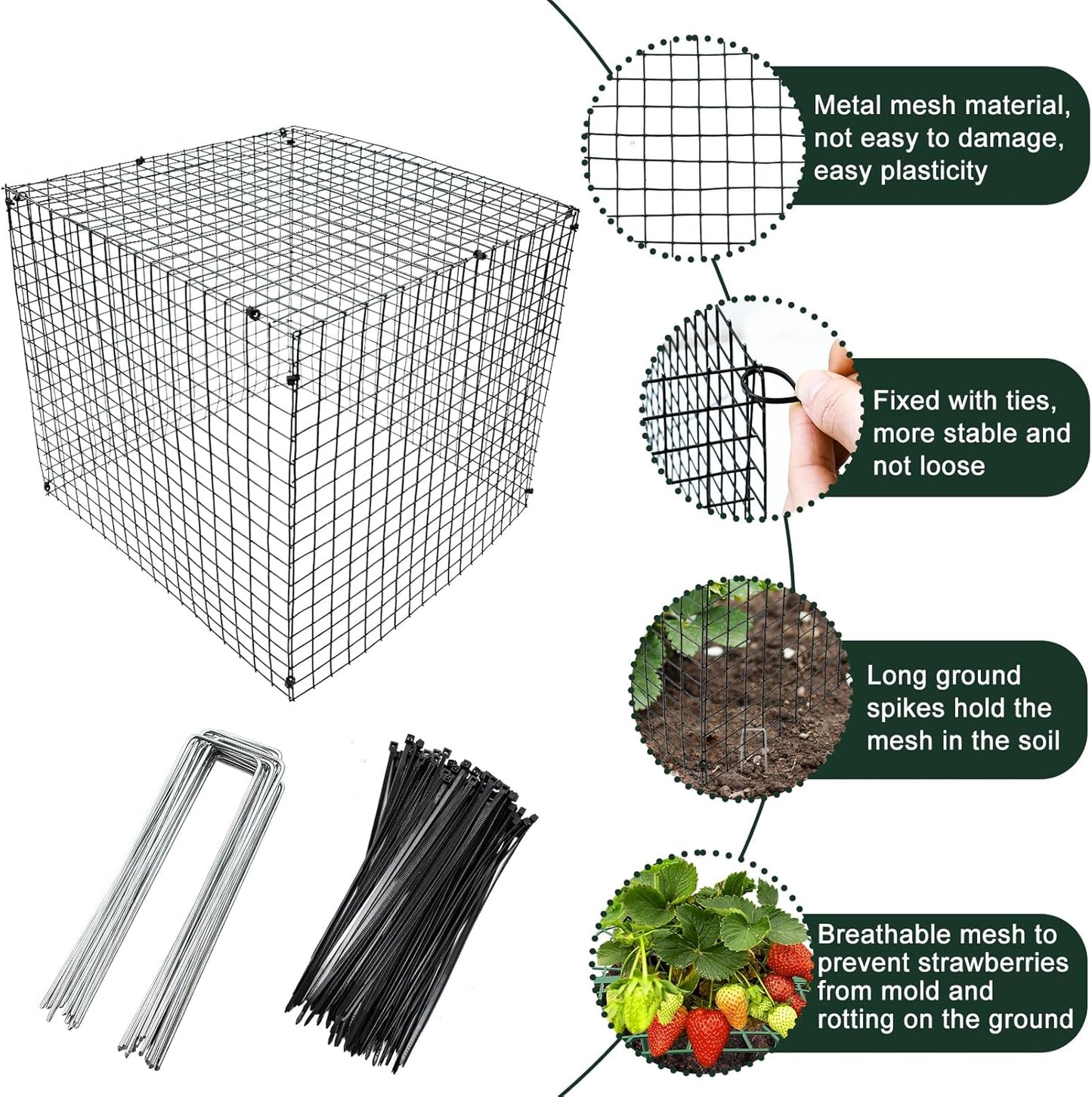 4 Sets 12x12Inch Upgraded Strawberry Supports with Wire Plant Protectors from Animal Sturdy Metal Wire Plant Cages Mesh
