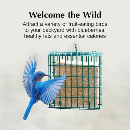 C&S Berry Delight Suet Cakes for Wild Birds - No Melt Formula, 11.75 Ounces, Pack of 8