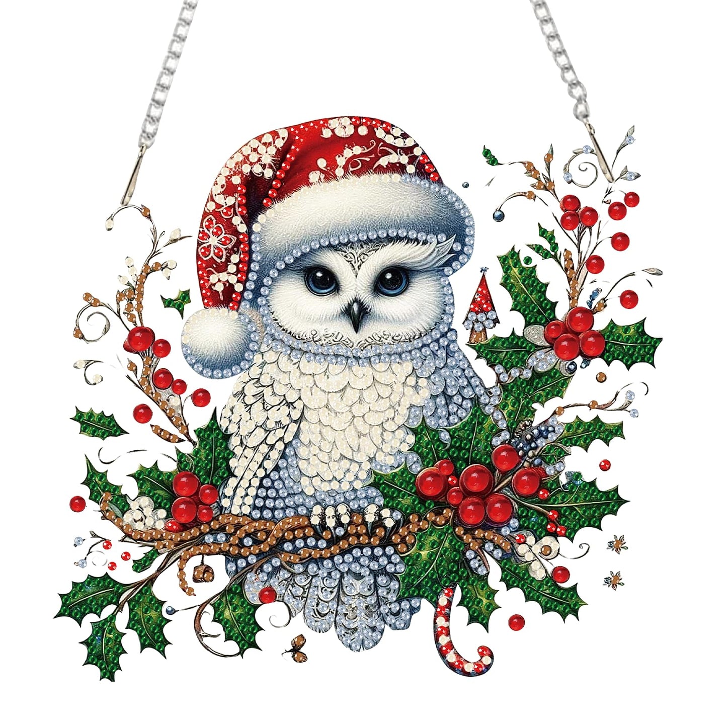 Auremi Christmas Diamond Art Painting Pendant Kits with Chain,5D Owl Diamond Art Hanging Kit DIY Diamond Crystal Window Door Hanging Pendant Kit for Adults Gift Wall Decor