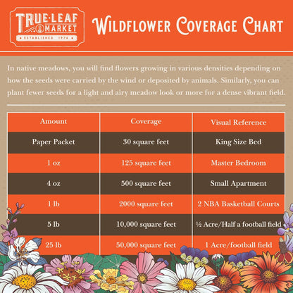 Wildflower Seeds Bulk, 2 Oz. – 80,000+ Seeds Butterfly & Hummingbird Mix, 23 Non-GMO Varieties for Pollinator Planting