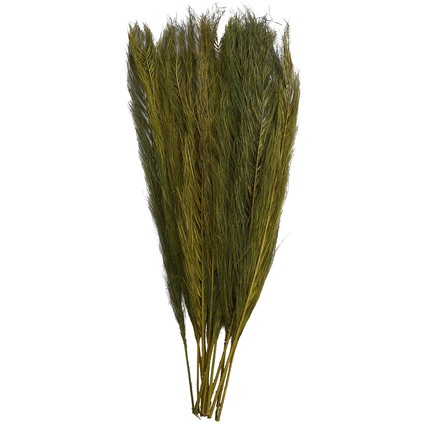 Deco 79 Dried Plant Leaves Home Decor Natural Foliage Natural Dried Foliage with Feather Inspired Stems, Foliage for Decoration 4" x 1" x 35", Green