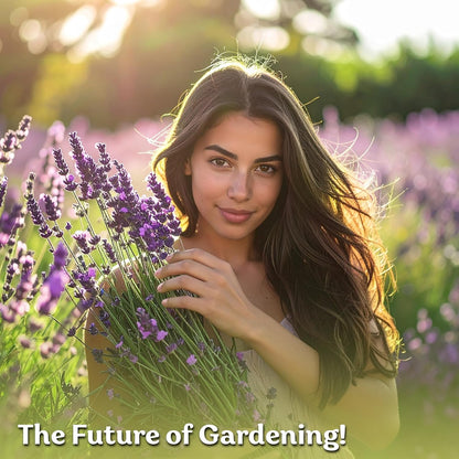2000 KVITER English Lavender Seeds for Planting Outdoor & Indoor (Lavandula angustifolia) True Lavender Flowers