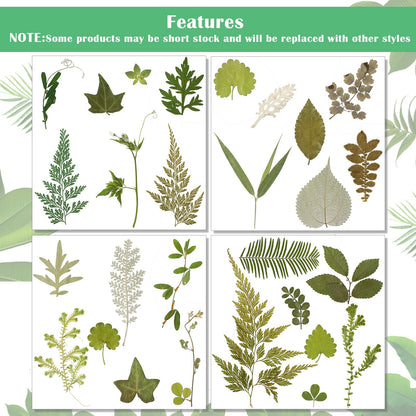 Timtin 84 Pieces Dried Pressed Leaves Flowers for Resin Mini Dried Flowers for Crafts Greenery Assorted for Art DIY Handmade Bookmarks 4 Bags(Vivid Style)