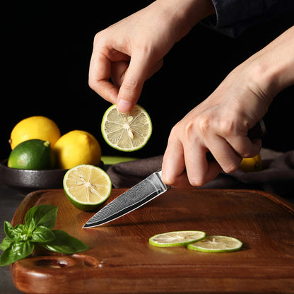 Wakoli EDIB Damascus Paring Knife – 3.2-Inch Small Kitchen Knife | Genuine 67-Layer Damascus Steel Blade with VG10 Core | Ergonomic Pakkawood Handle | Precision Cooking Knife in Gift Box