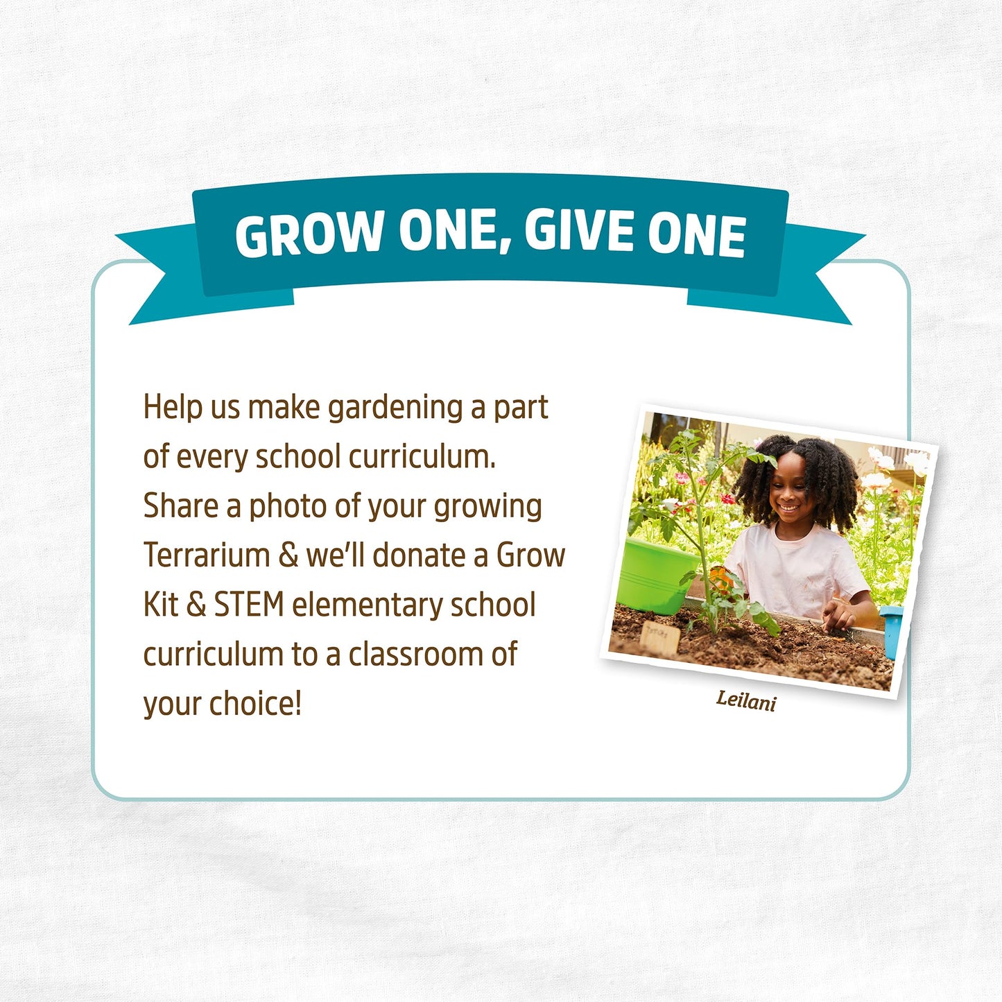 Back to the Roots Terrarium Grow Kit - Easy-to-Use DIY Set for All Ages Small