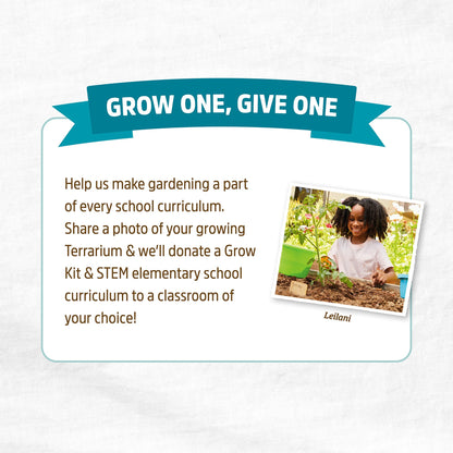 Back to the Roots Terrarium Grow Kit - Easy-to-Use DIY Set for All Ages Small