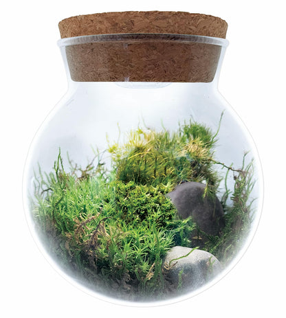Create Your Serene Moss Sanctuary with The Unique Gardener Moss Bowl Terrarium Kit with LED Light - Complete Terrarium Supplies, Indoor Plants for Stress Relief & Air Purification!