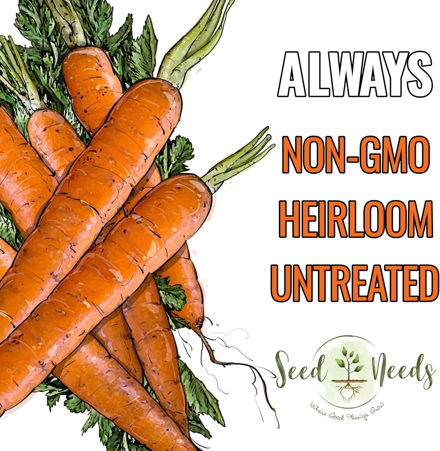 (1 Pack) Seed Needs Carrot Seeds for Planting Tendersweet Carrots - Non-GMO Heirloom & Untreated Vegetable Seed