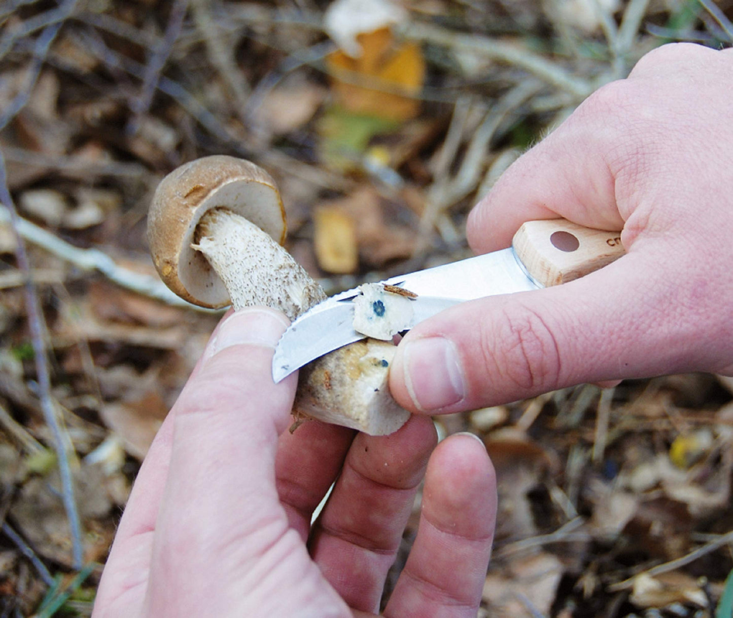 Esschert Design Mushroom Knife with Brush
