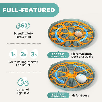18~36 Egg Incubators for Hatching Eggs, Egg Incubator with Automatic Egg Turning and Humidity Control and Temperature
