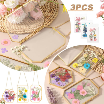 Lujechii 3 Pcs Double Glass for Pressed Flowers,Clear Brass Embossed Frame with Dried Flowers and Tweezers,Can Be Used for Dried Flower Plant Photo Postcards Wall Mounted Glass Pressed Flower Frame