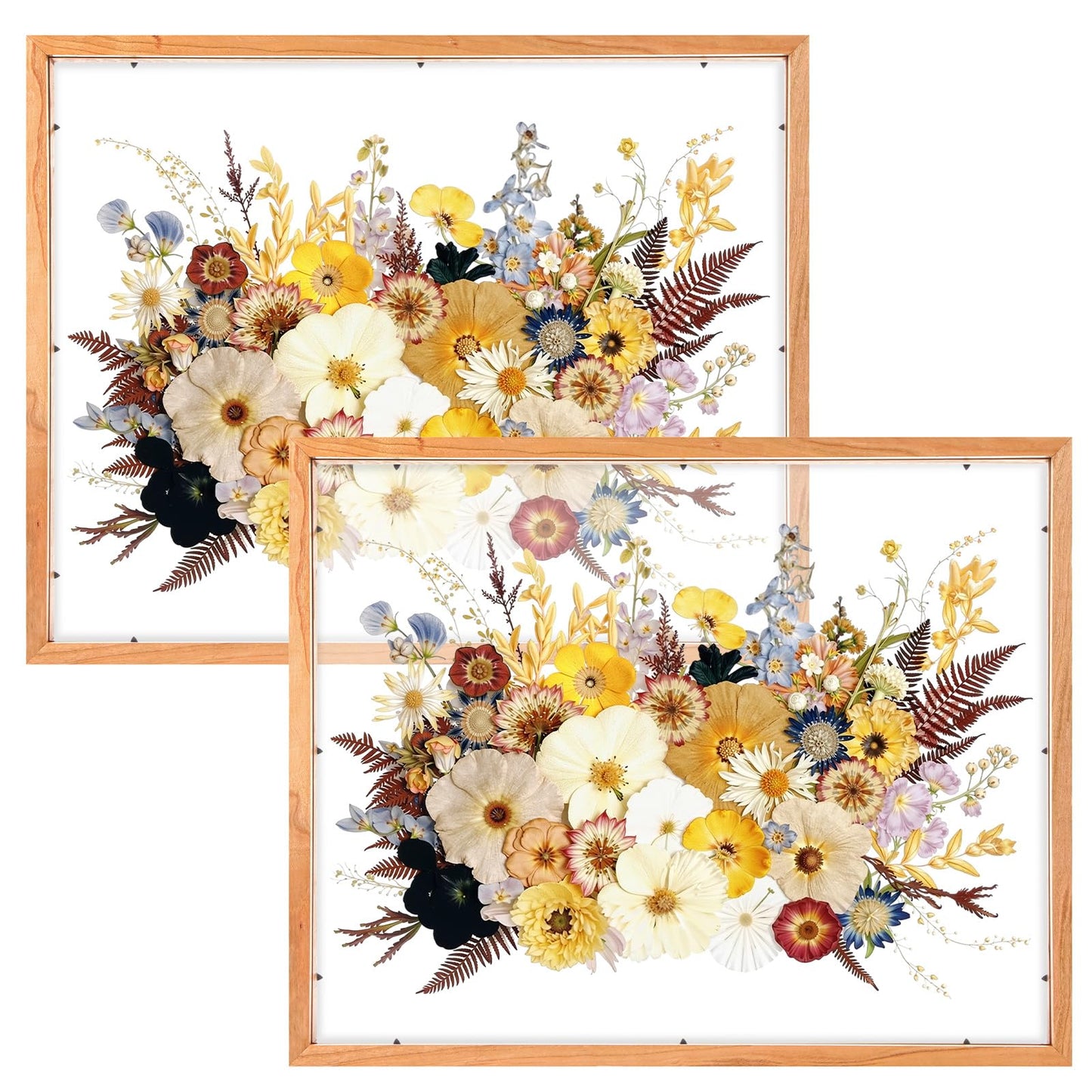 Leinuosen 2 Pcs Floating Picture Frames 16x20 Double Glass Pressed Flower Wooden Frames Wall Tabletop Display Photo Gift for Home Office Plant Specimen Embossed Designs