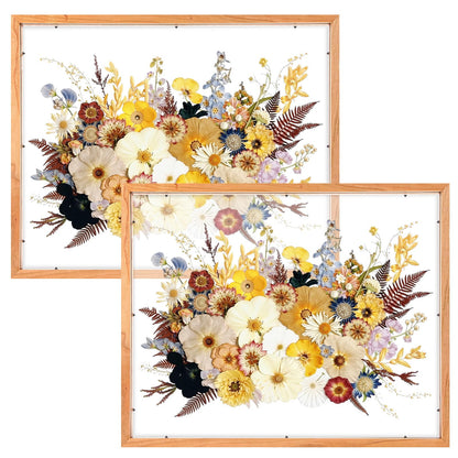 Leinuosen 2 Pcs Floating Picture Frames 16x20 Double Glass Pressed Flower Wooden Frames Wall Tabletop Display Photo Gift for Home Office Plant Specimen Embossed Designs