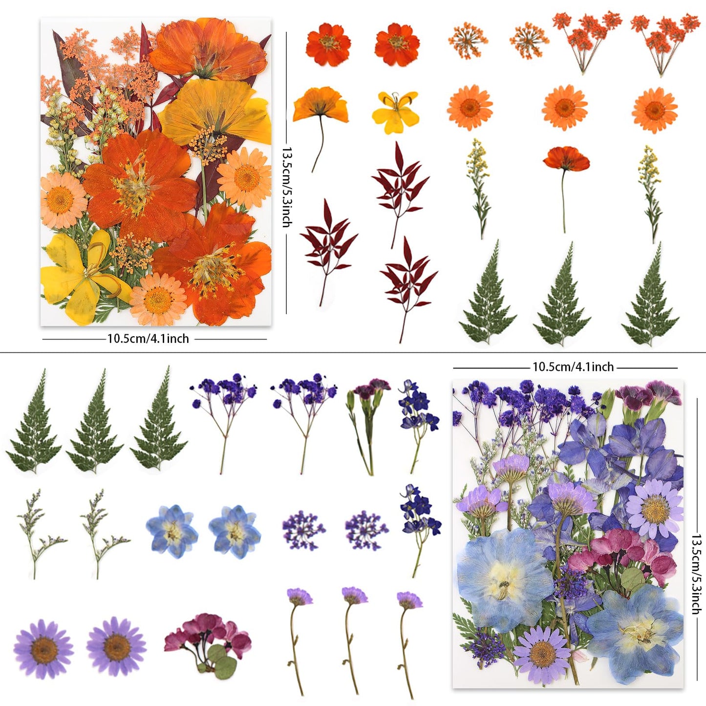 80 Pcs Dried Pressed Flowers for Crafts, Real Natural Dried Pressed Flowers in Vibrant Multicolor Tones for Resin, DIY Art, Jewelry, Candle & Soap Making – Tweezers Included