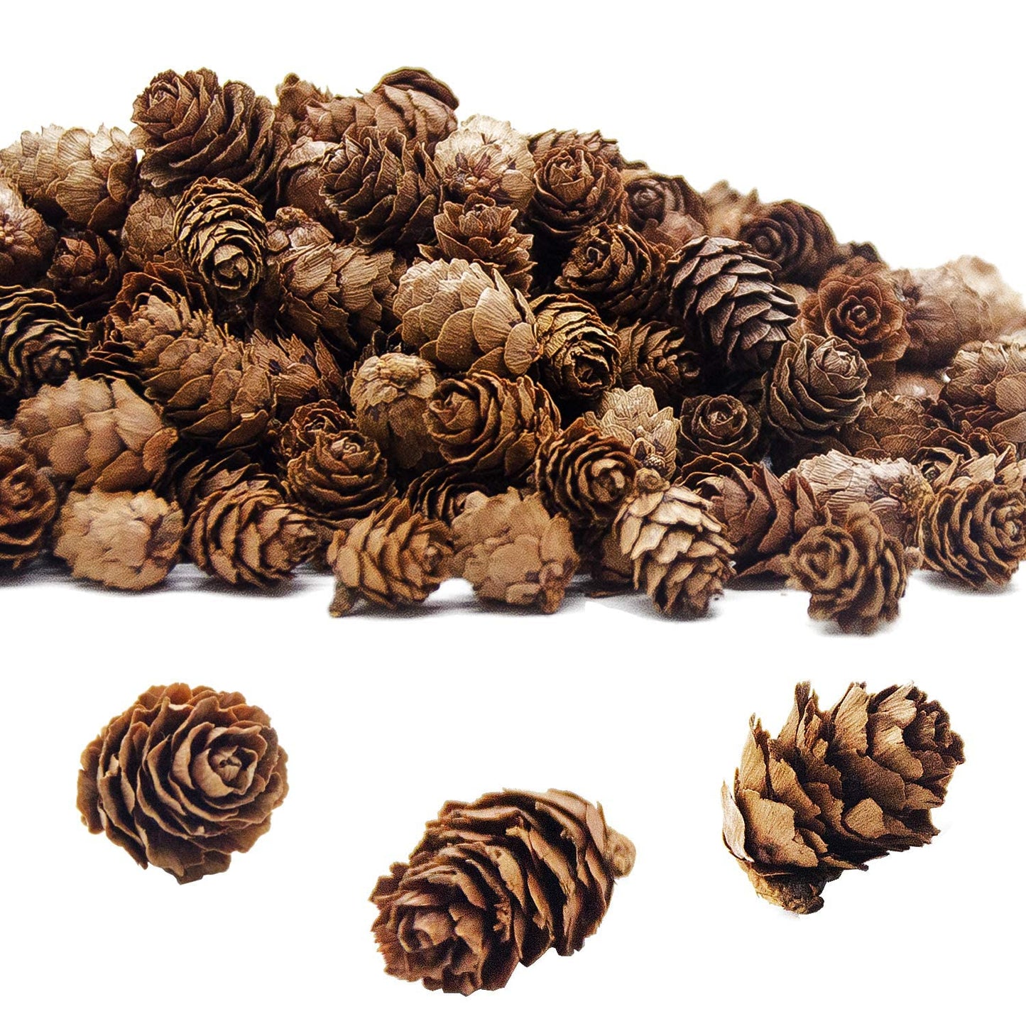 Deloky 400 PCS Christmas Natural Mini Pine Cones- Thanksgiving Pine Cones Ornaments- Fall Small Pinecones Vase Fillers for DIY Crafts, Home Decorations, Fall and Christmas, Wedding Decor