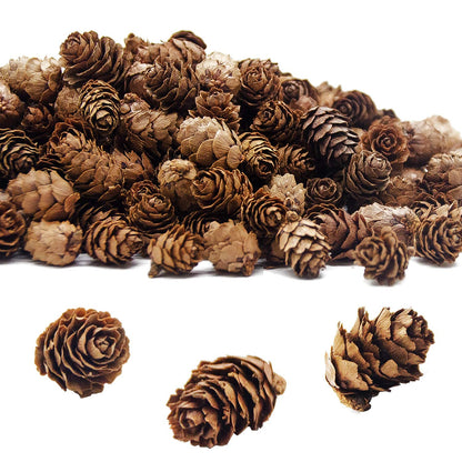 Deloky 400 PCS Christmas Natural Mini Pine Cones- Thanksgiving Pine Cones Ornaments- Fall Small Pinecones Vase Fillers for DIY Crafts, Home Decorations, Fall and Christmas, Wedding Decor