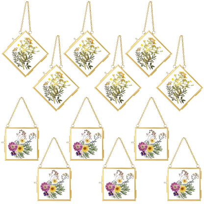DoubleFill 12 Pcs Hanging Clear Photo Frame Double Glass for Pressed Flower Floating Frame with Chain Display Gallery Artwork Horizontal Vertical Gold Metal Rectangle Wall Decor(3 x 3 Inch)