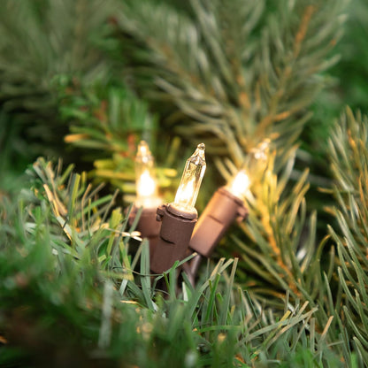 4' 10ct Northlight Mini Incandescent Christmas Lights - Clear - Brown Wire