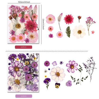 Cokosing 5 Packs of 140 Pressed Dried Flowers and Leaves Real Natural Dried Flowers with Tweezers for DIY Crafts, Resin Jewelry, Card Making, Soap, Candles, Nail Art, and Scrapbooking (5 Colors)