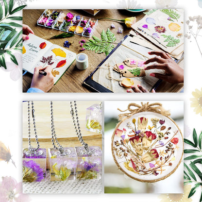 Nuanchu 200 Pcs Natural Dried Pressed Flowers and Leaves Resin Real Dried Flower Leaves Mixed with Tweezers for DIY Jewelry Candle Soap Vase Making Nail Card Scrapbook Art Craft Floral Decors
