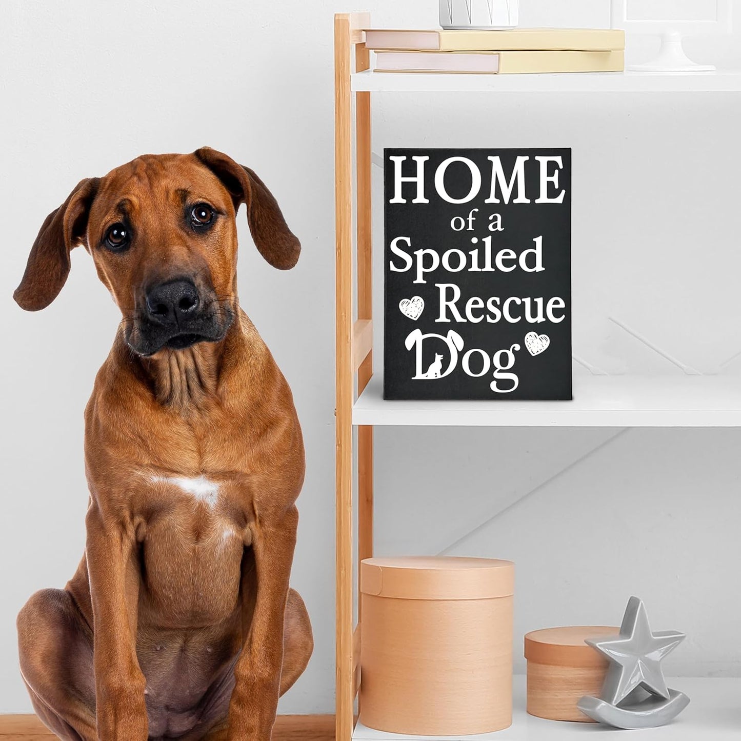 Home of a Spoiled Rescue Dog Wooden Sign, Black and White Dog Lover Decor, Gift for Pet Owners, Made in USA