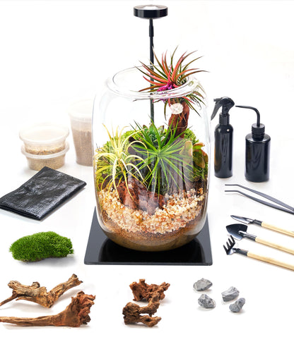 Terrarium Kit with Grow Light – 24-Piece DIY Glass Terrarium Set with Tools, Moss, Driftwood, Soil & Pebbles – Mini Gardening Kit for Air Plants, Succulents & Indoor Desk Decoration Gift