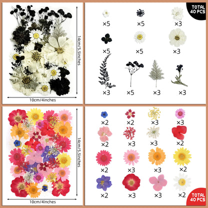 Tessera 160+ Pcs Real Pressed Flowers for Resin & Crafts - 4 Themed Dried Flower Sheets with 4-Piece DIY Tool Kit - for Resin Jewelry Making, Scrapbooking Supplies, Nail Art, Candle & DIY Gifts