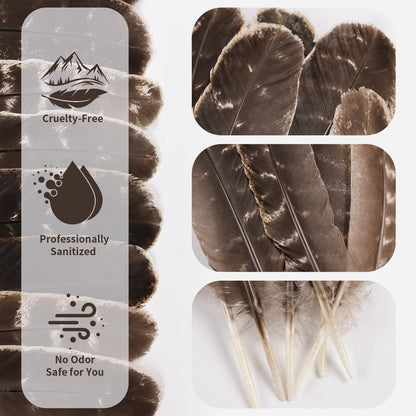 Natural Turkey Feathers, 30pcs 8-11 inch (20-27cm) Bulk Feathers for DIY Jewelry Hat Wedding Home Party Dream Catcher Supplies