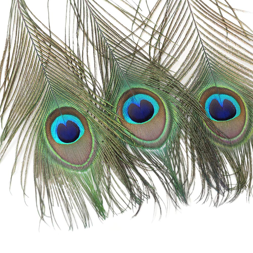 60 PCS Real Natural Peacock Eye Feathers 10-12 inch for DIY Craft, Wedding and Holiday Decorations