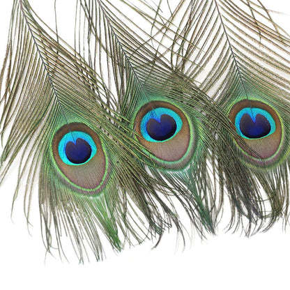 60 PCS Real Natural Peacock Eye Feathers 10-12 inch for DIY Craft, Wedding and Holiday Decorations