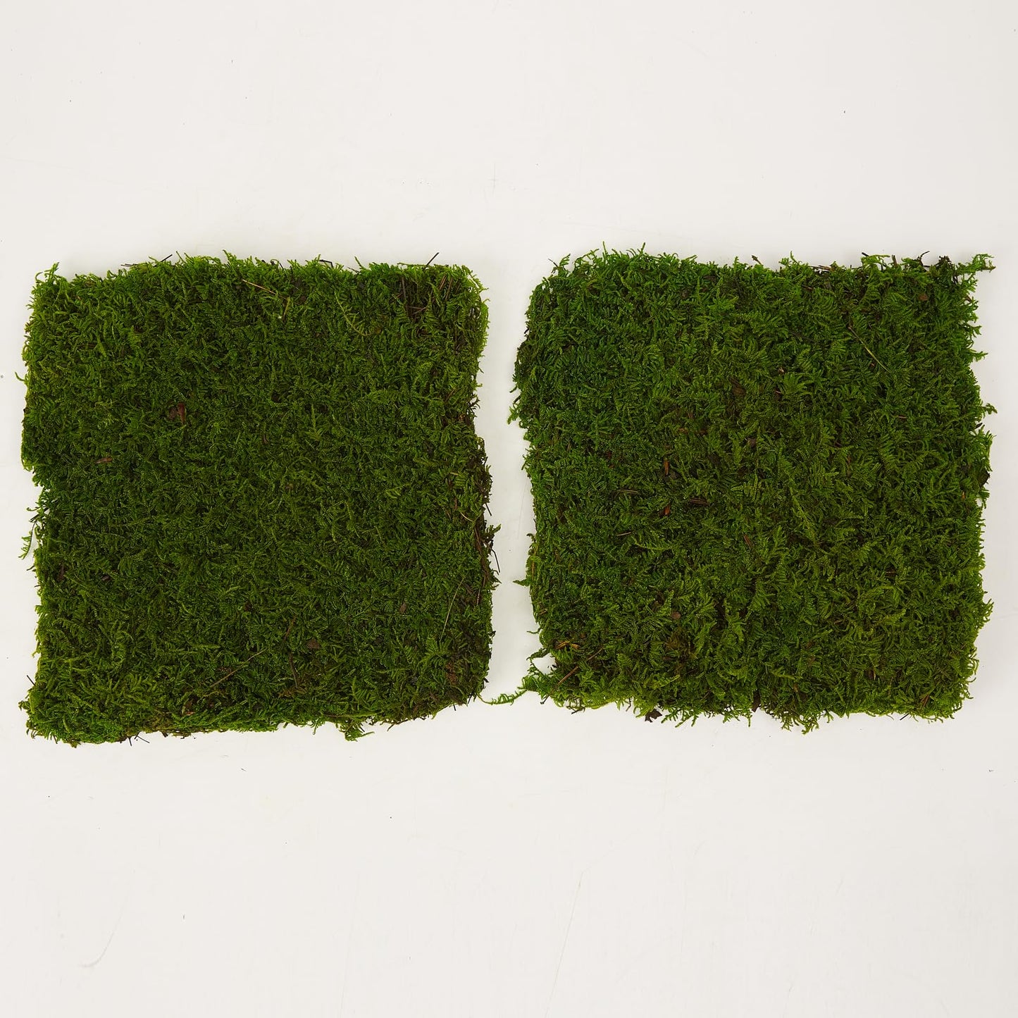 Prefleur Preserved Sheet Moss Natural Green Decorative Real Natural Green DIY Kit Gardenning Art Wall Decor Florist Decor Easter Table Decor Wedding 2 sq.ft.Green-B