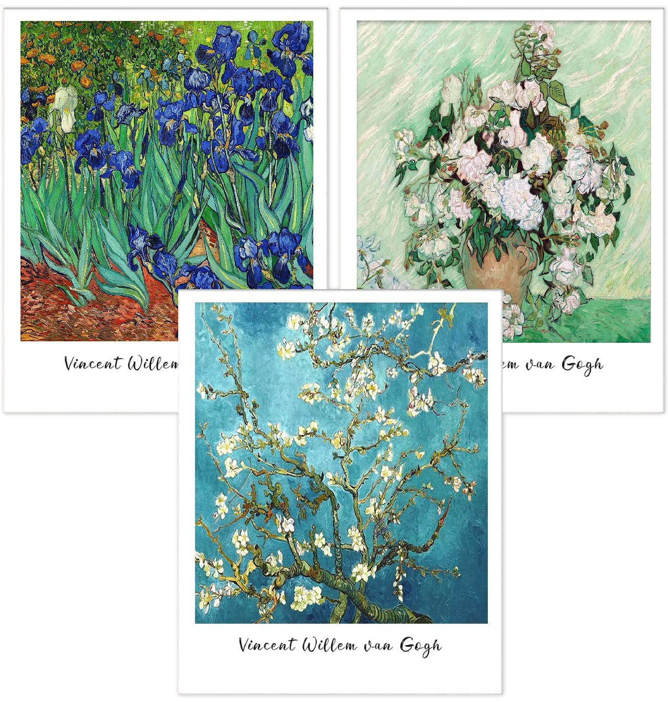 KICHANG 3 Pack Flowers Diamond Art Kits for Adults Beginners,Full Round Drill DIY Van Gogh Diamond Painting Kits,Paint by Diamonds Dot Gem Art Crystal Easy, Home Wall Decor Funny&Gift-12x16in