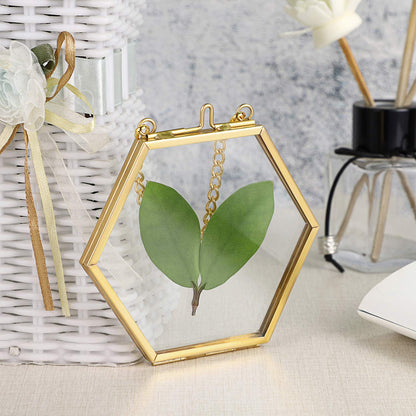 JUXYES 4 Pack Hexagon Mini Wall Hanging Brass Frames for Pressed Flowers, Double Glass Hanging Picture Artwork Display Frame, Gold Floating Style Gallery Wall Frame for Picture, Poster, etc