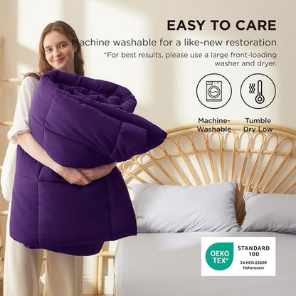 Bedsure Comforter Duvet Insert - All-Season Quilted Down Alternative Bedding, Full Size, Purple 86 x 82 Inches