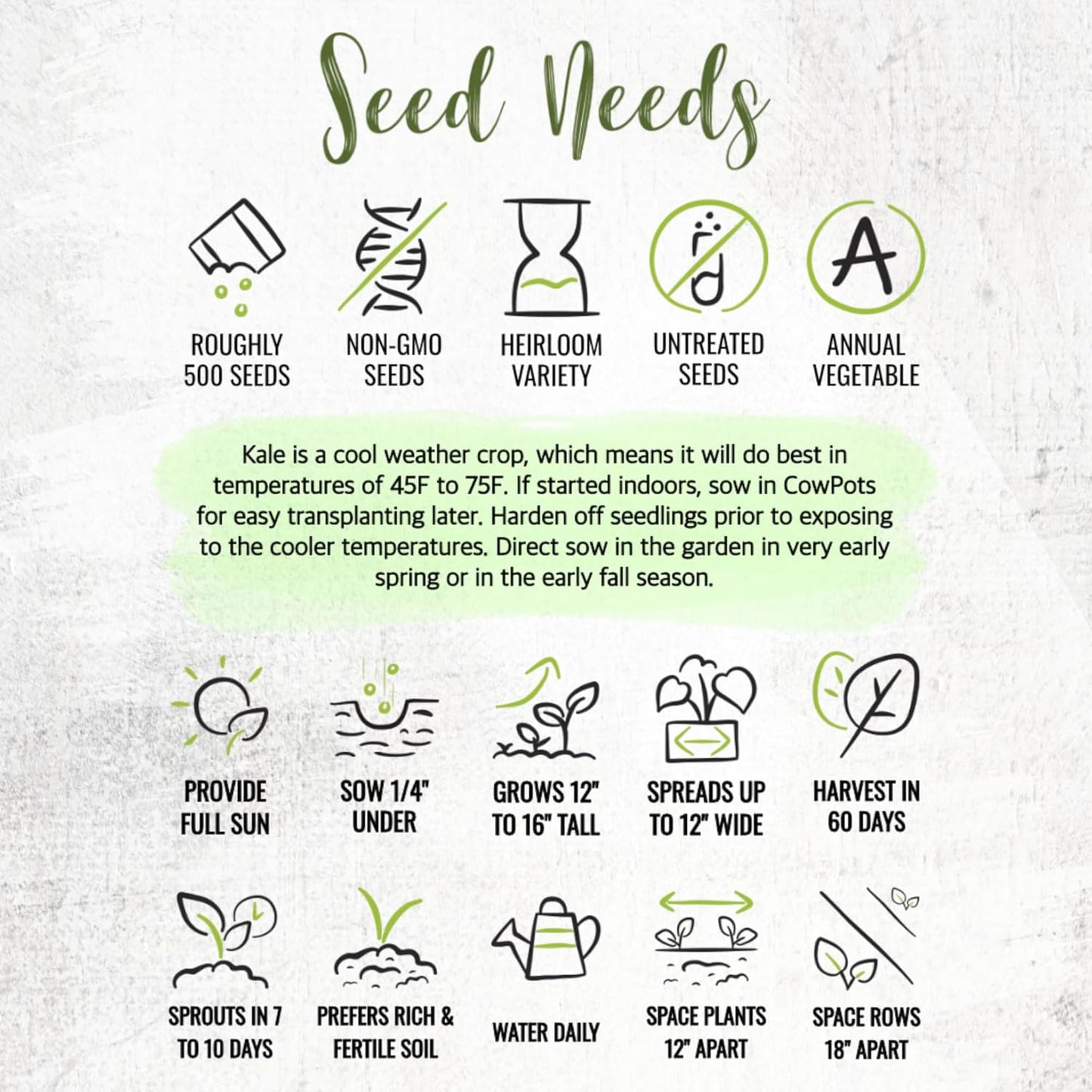 (5 Packs) Seed Needs Kale Seeds for Planting Vates Blue Scotch Curled Kale Vegetables - Non-GMO Heirloom & Untreated