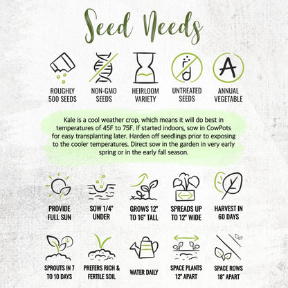 (5 Packs) Seed Needs Kale Seeds for Planting Vates Blue Scotch Curled Kale Vegetables - Non-GMO Heirloom & Untreated