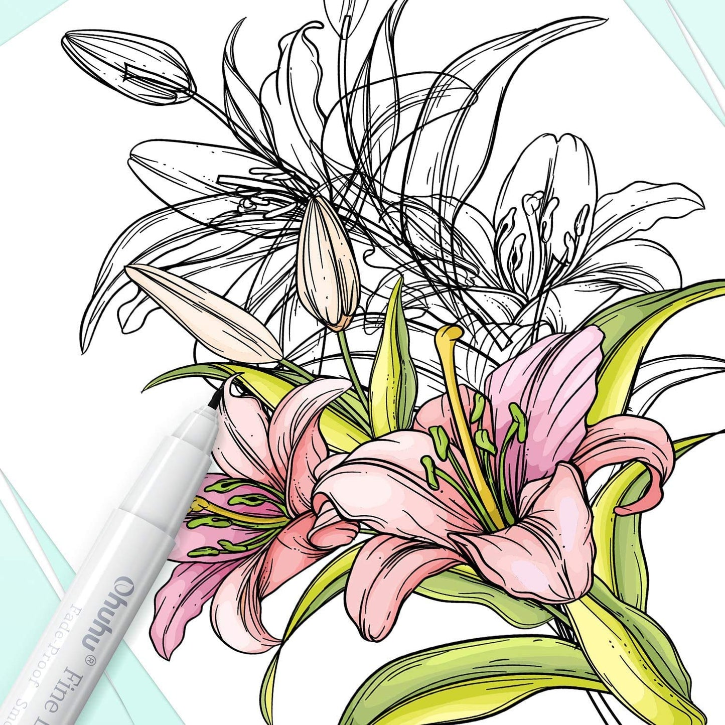 Ohuhu Fineliner Pens Micro Drawing Pens: 8-size Tips (Ultra-fine, Fine & Brush) Waterproof Pigment Black Ink for Illustration Drawing Journaling Sketching for Artist Beginners
