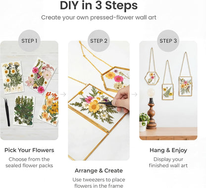 Relaxing Garden Pressed Flower Craft Kit for Adults & Women, DIY Floating Double Glass Frame Kit with Real Dried