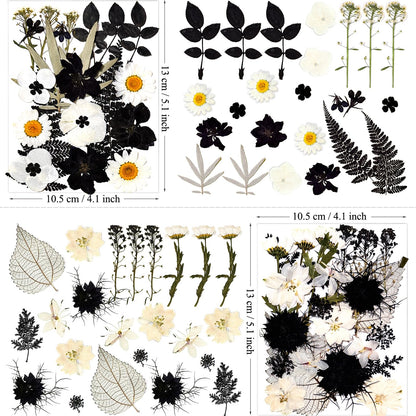 MIKIYA 90Pcs Black Pressed Dried Flowers for Resin Molds, Real Natural Bulk Dry Floral Leave for DIY Art Crafts, Epoxy Jewelry, Candle, Soap Making, Nails Decors Gifts