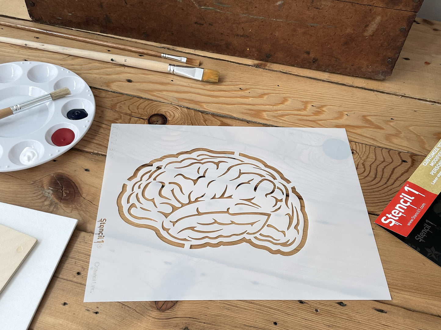 Stencil1 Brain Stencil Durable Quality Reusable Stencils for Painting - Create Stencil Crafts and Decor - Decor on Walls Fabric & Furniture Recyclable Art Craft - 8.5" x 11"