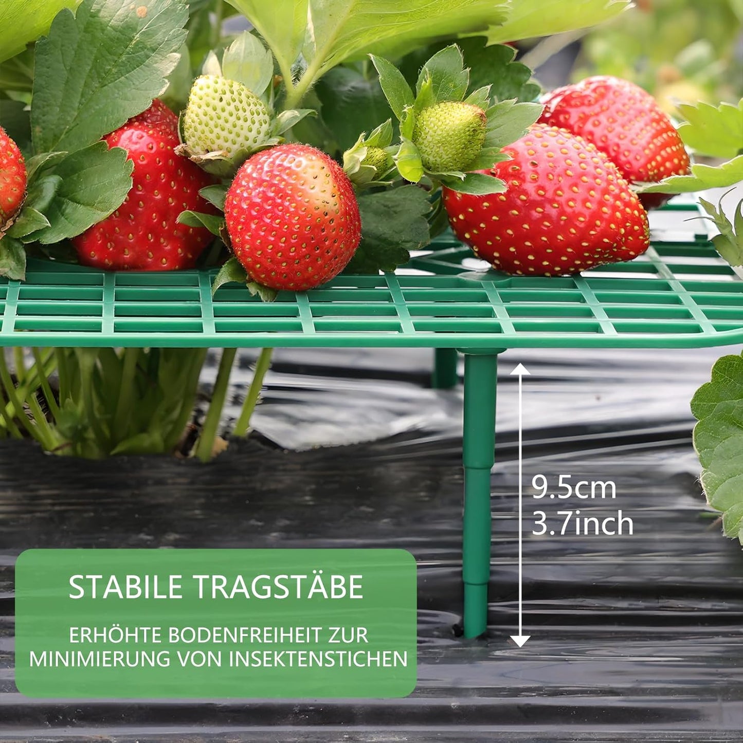 ANGTUO 10 Pack Square Strawberry Supports for Garden Strawberry Plant Support Strawberry Stand Holder Strawberry Racks