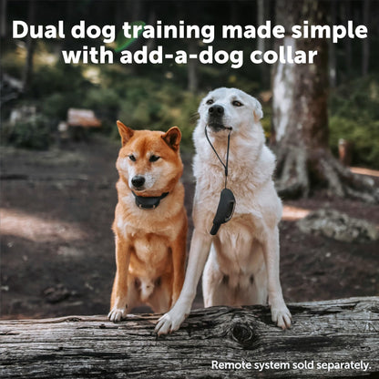 PetSafe Add-A-Dog Remote Training Collar – Perfect for Small, Medium and Large Dogs – Choose from Tone, Vibration, or 15 Levels of Static Stimulation – Waterproof and Durable – Rechargeable