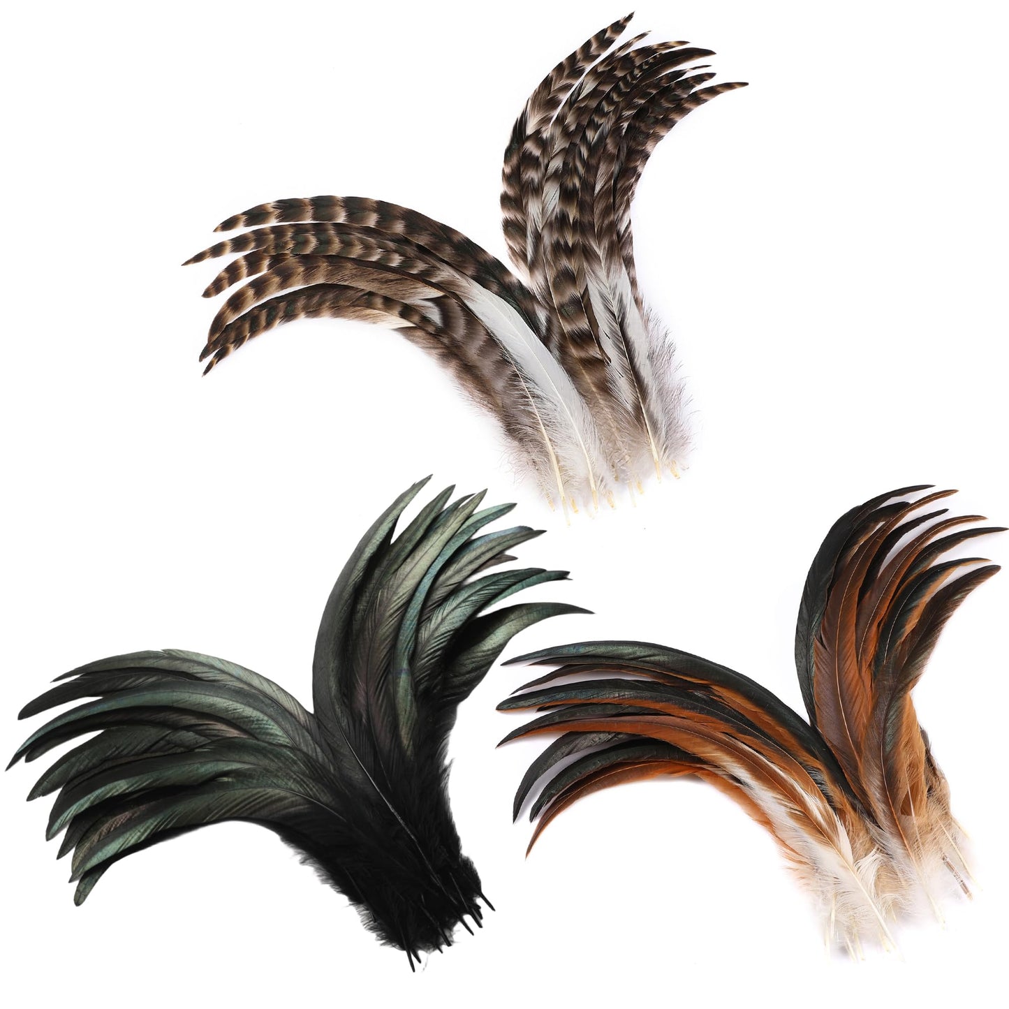 Holmgren 180pcs 12-14inch Rooster Tail Feathers - Natural Long Rooster Tail Feathers Bulk for DIY Crafts Hats Costume, Holiday Themed Party Decoration