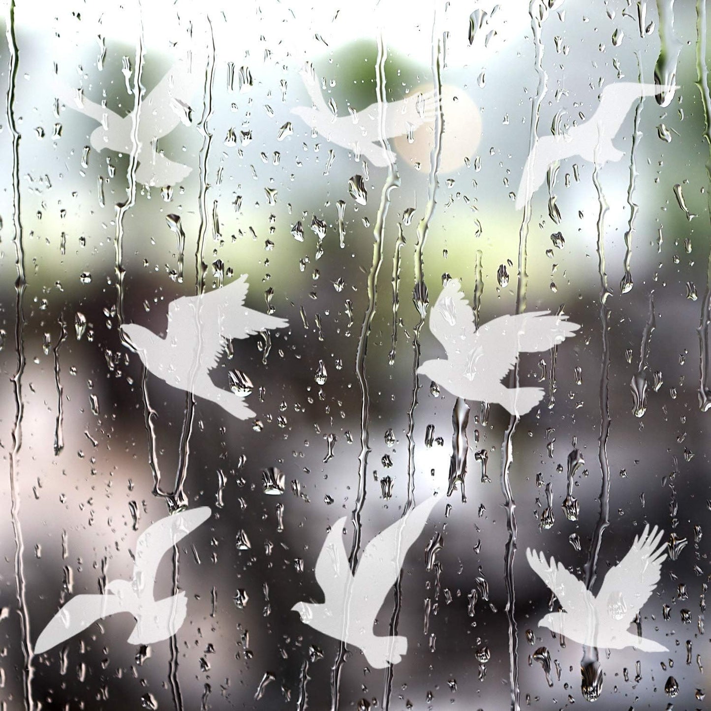 Boao Large Size Anti-Collision Window Clings, Translucent/Dusted Bird Deterrent for Doors, Windows & Glass