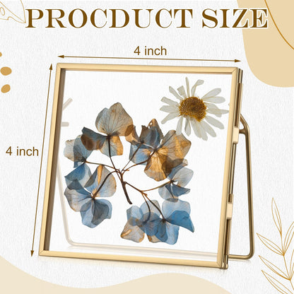 Vicenpal 5 Pack Glass Pressed Flower Frame Handmade, 4 x 4 floating Picture Frames for Pressed Flowers, Brass Double Glass for Tabletop Display, Home Office Plant Specimen, Photos(Gold)